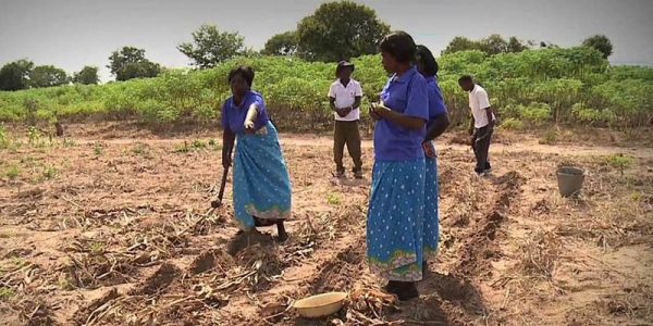 The HD-led EU-funded project "Global Climate Change Alliance (GCCA) – Malawi, Planning for Climate Change" will work to improve the lives of smallholder farmers whose livelihoods are entirely dependent on agriculture.